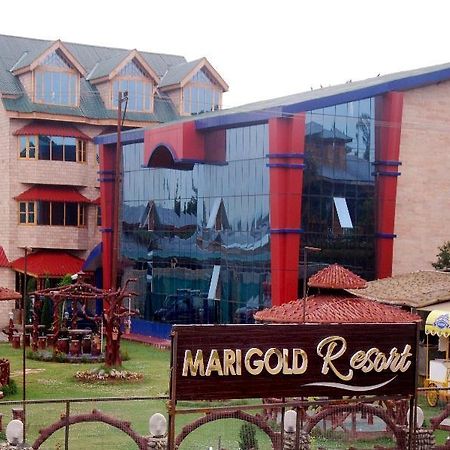 غولمارغ Marigold Resort المظهر الخارجي الصورة